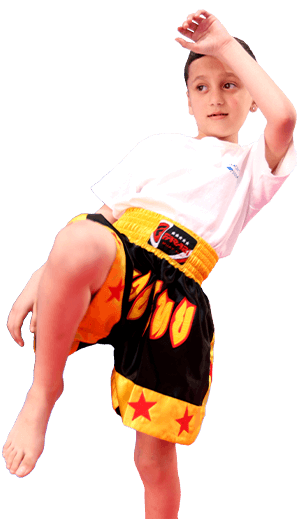 Kids Karate Taekwondo Fitness muay thai